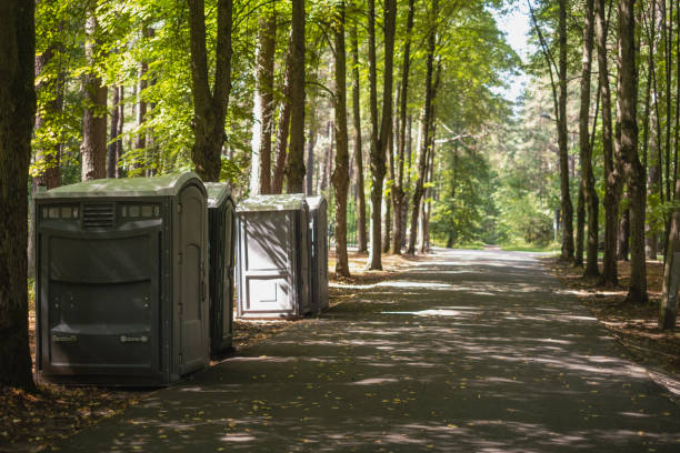 How Our Tree Care Process Works  in  Pearl River, NY